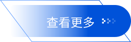 审查更多