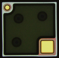 V1515G1
