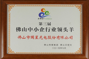 热烈祝贺南宫NG娱乐光电荣获“佛山企业领头羊”称呼
