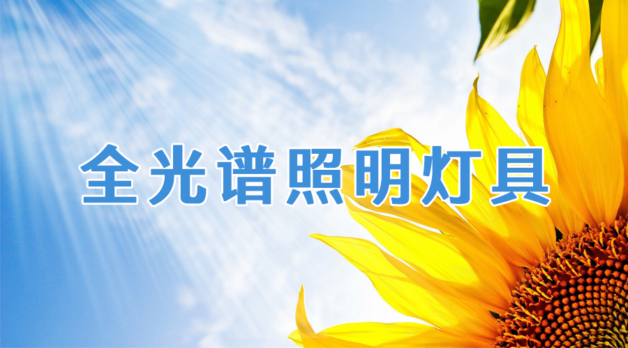 照明新品 | 南宫NG娱乐光电将太阳光搬进超市