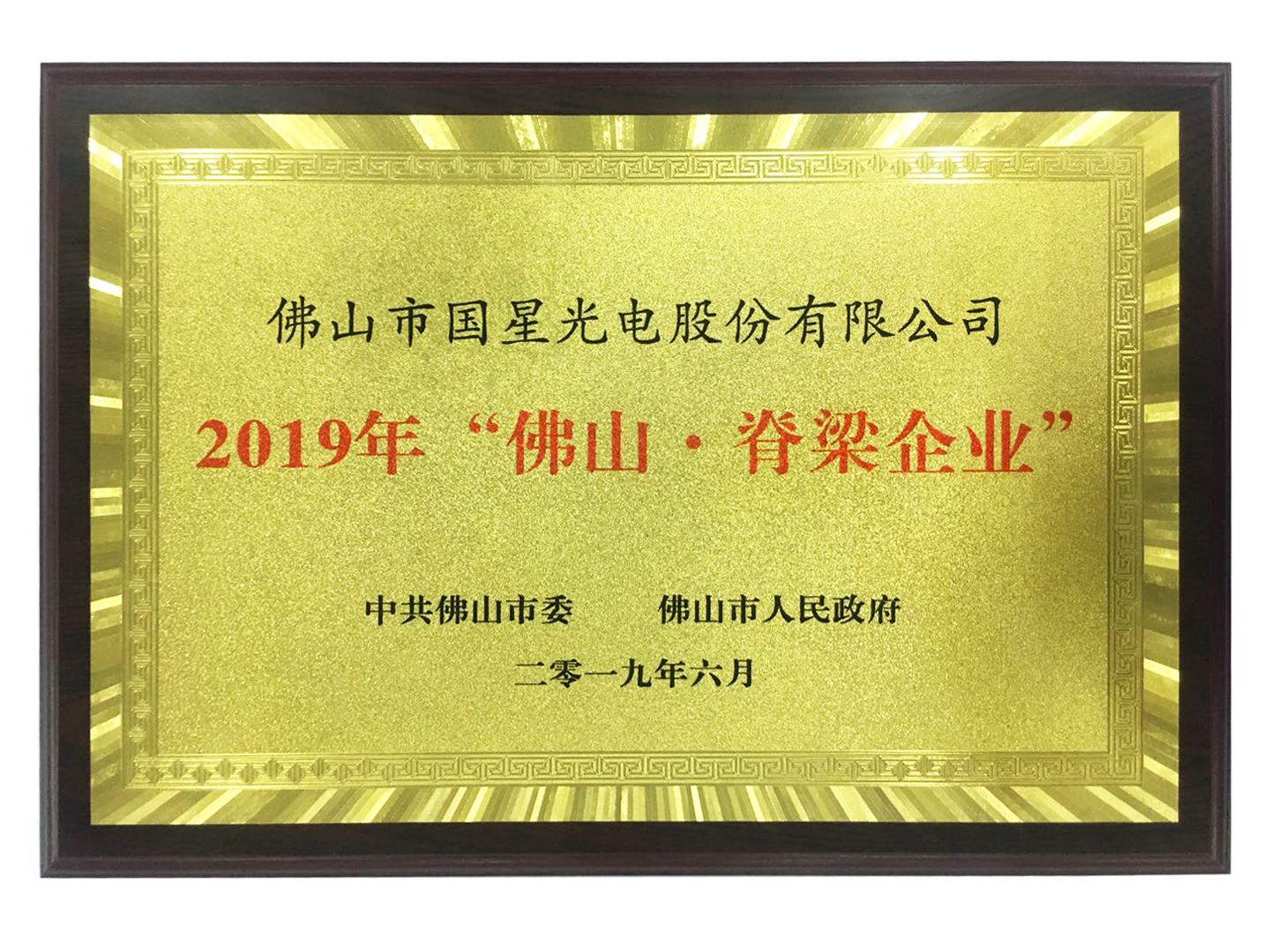 佛山脊梁 立异实力 | 南宫NG娱乐光电荣获“佛山脊梁企业”称呼