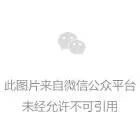 南宫NG娱乐光电加入广晟公司2020年第一季度党委 理论学习中心组学习会并组织整体钻研