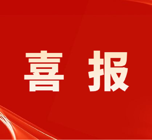 南宫NG娱乐光电荣获“佛山市禅城区先进整体”声誉称呼