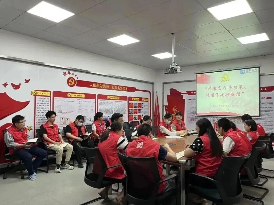 研究院党支部开展“精准发力寻对策、挂图作战破瓶颈”主题党日活动