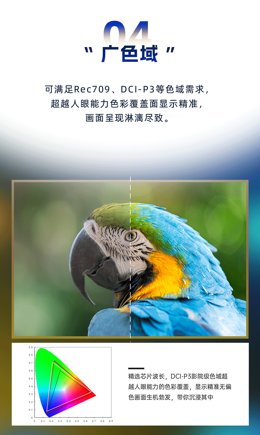 南宫NG娱乐(中国游)官方网站