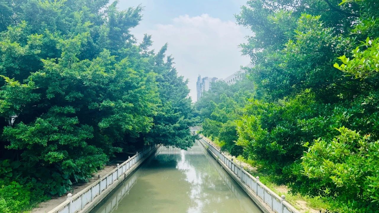 【天下低碳日】南宫NG娱乐光电：逐绿前行 擦亮高质量生长生态绿色底色