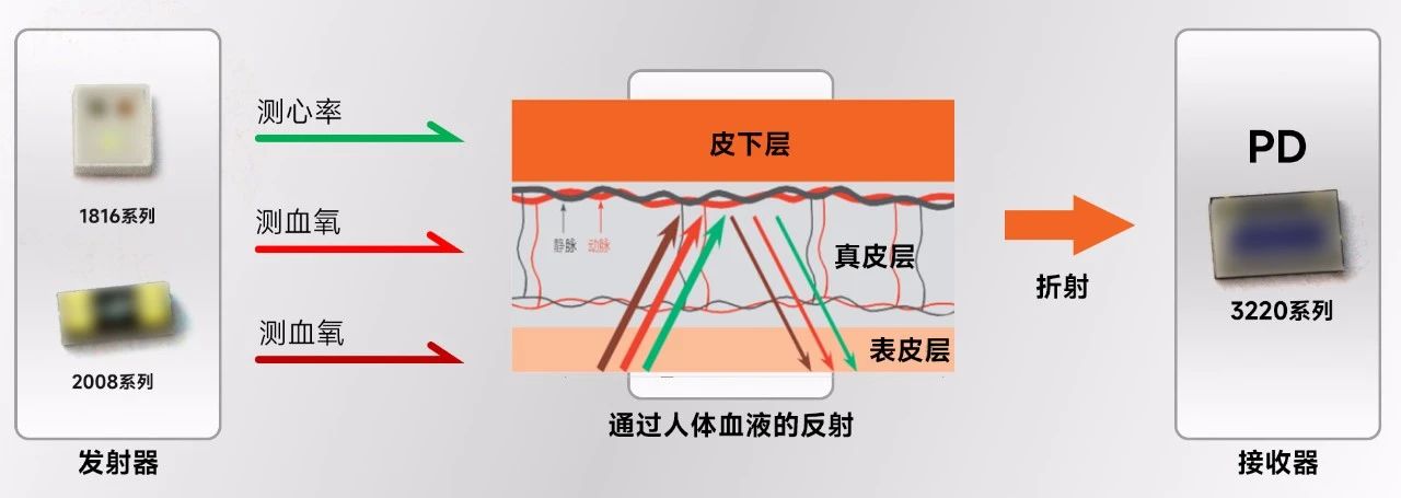 微信图片_20241112140406.jpg 微信图片_20241112140406.jpg