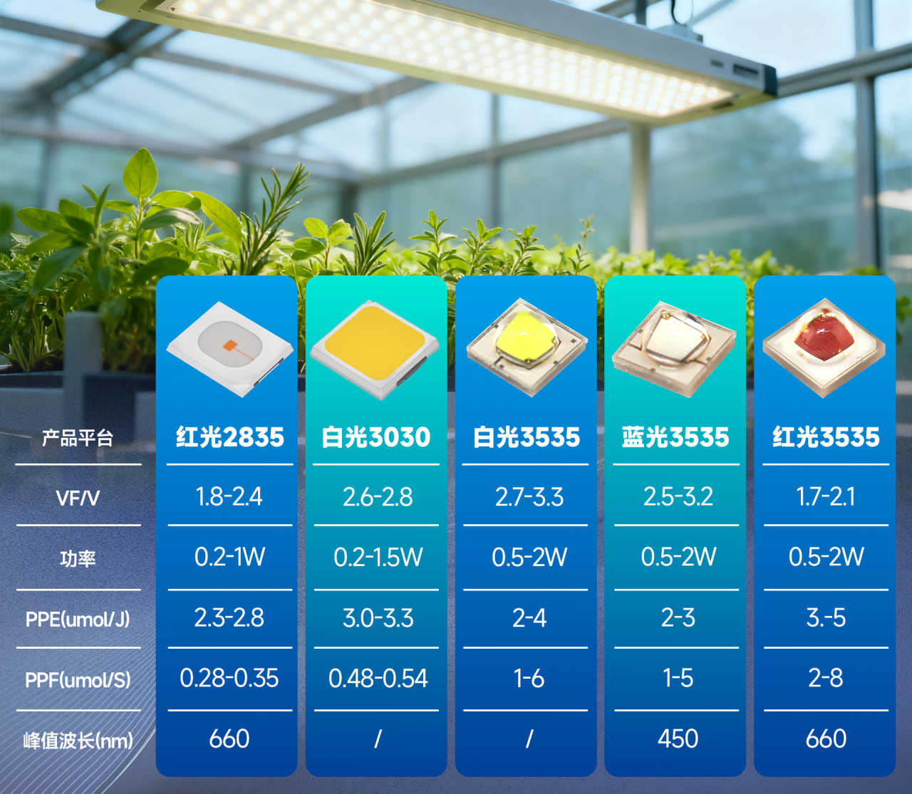 微信图片_2026-02-24_153331_263.png 微信图片_2026-02-24_153331_263.png