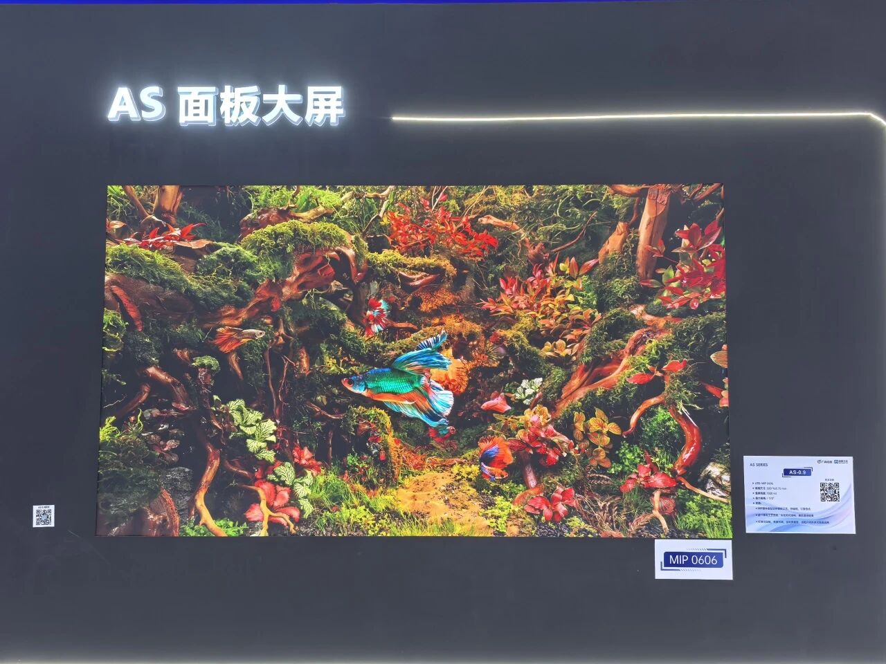 微信图片_2026-03-18_095336_739.jpg